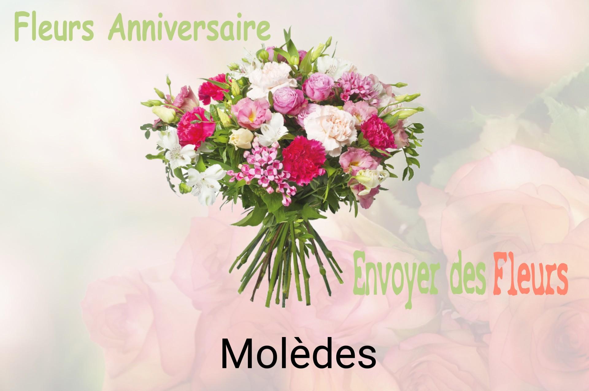 Bouquet de fleurs d’anniversaire livré à Molèdes