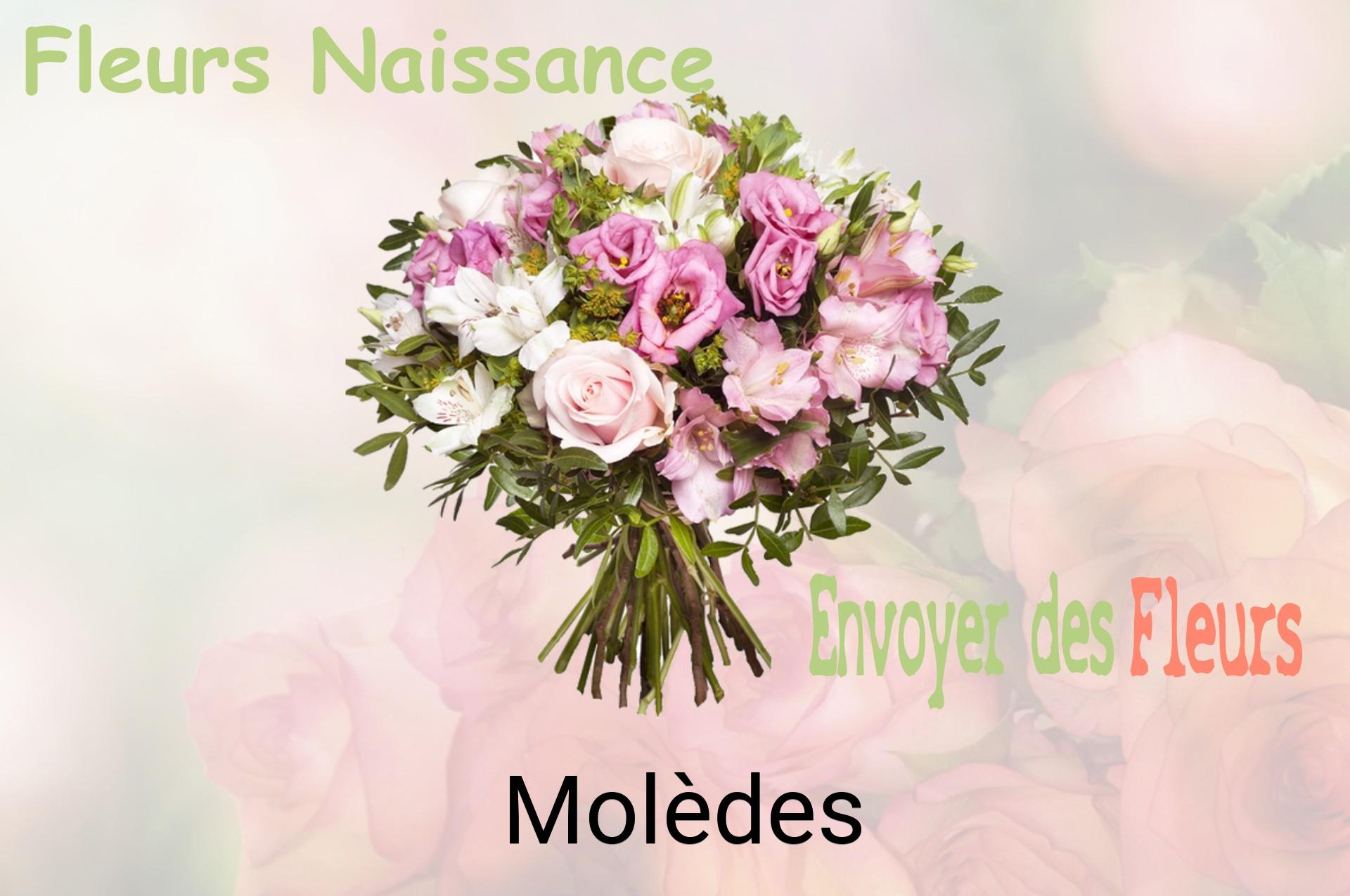 Bouquet de fleurs de naissance livré à Molèdes