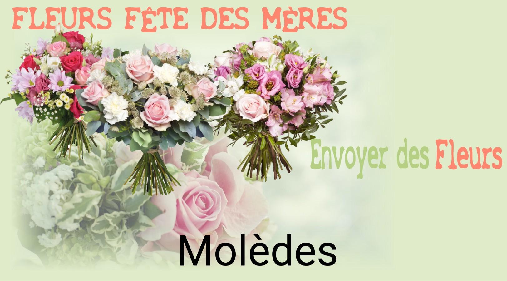 Bouquet de Fête des Mères livré à Molèdes
